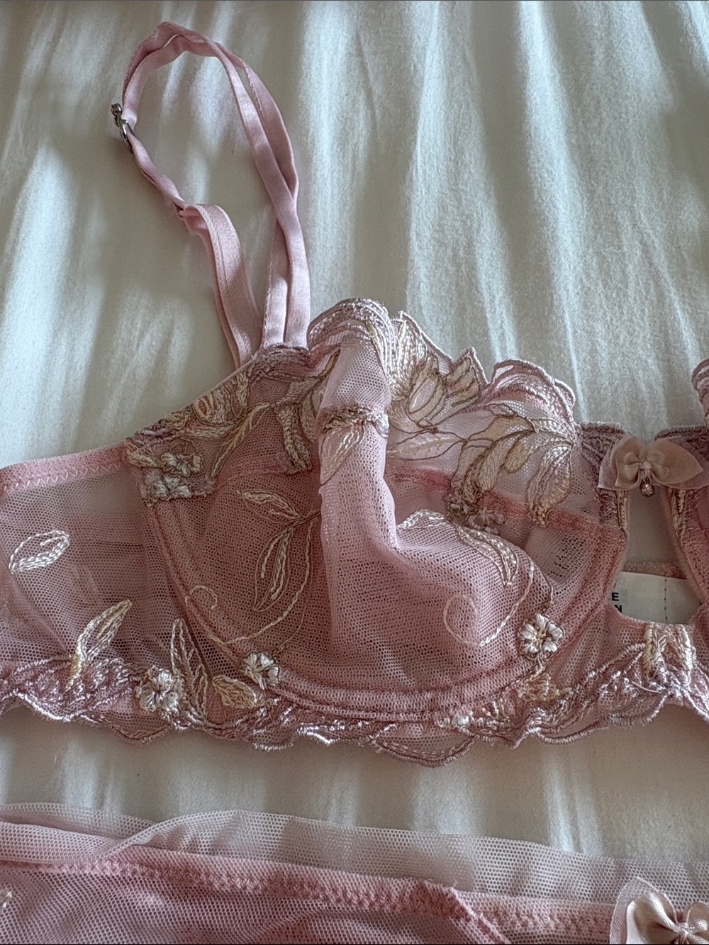 Lise Charmel French lace Sheer Pink Lingerie Set - Bra & Brief size 32C